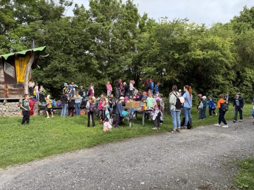 image-20250617-233337-925