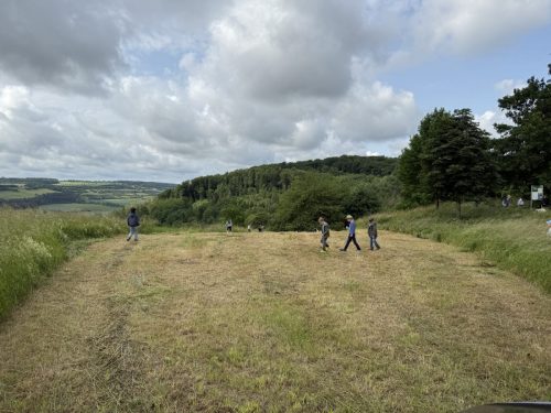 image-20250617-233338-038